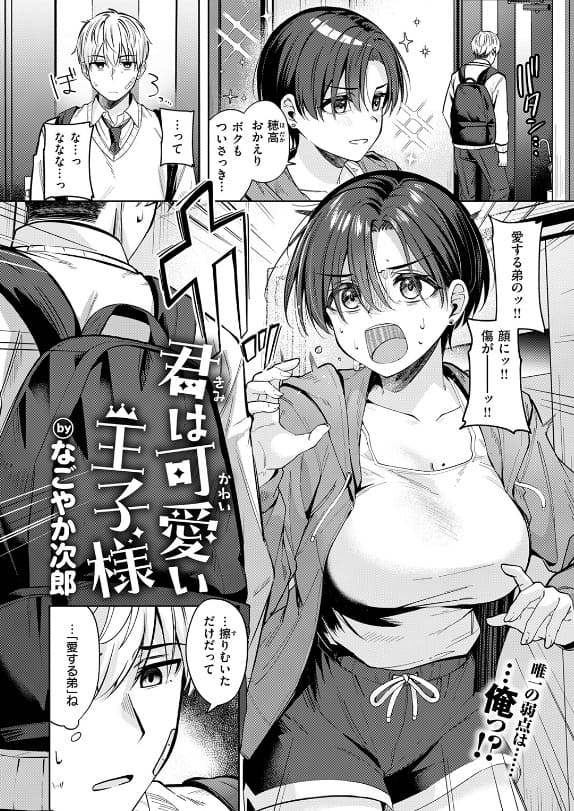 なごやか次郎 君は可愛い王子様 FANZA同人漫画画像