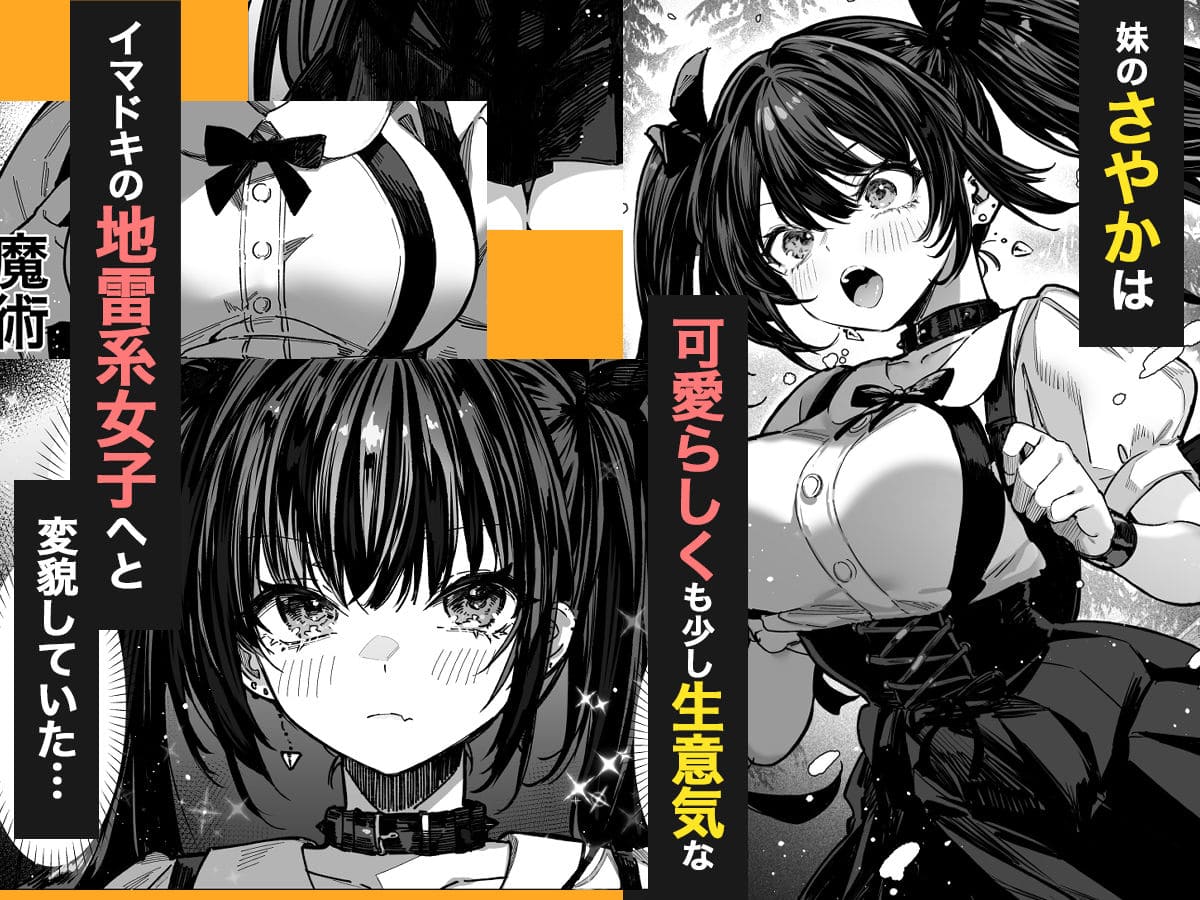 パイレーツキャットの最新同人コミック「ハメゴト〜姉妹のひみつ〜」作品イメージ